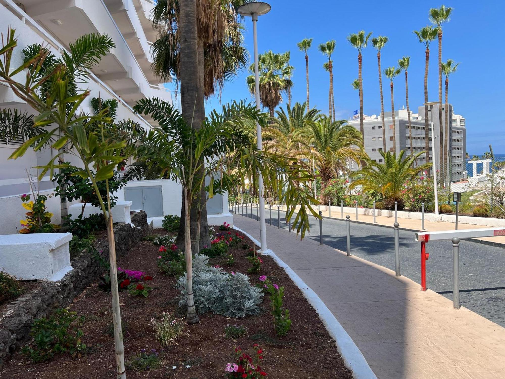 Tenerife Sea View 216 Playa Fanabe Ngoại thất bức ảnh